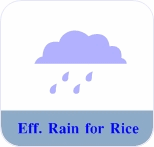 Effective Rainfall for Rice by Province
