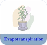 Evapotranspiration by Region and Province